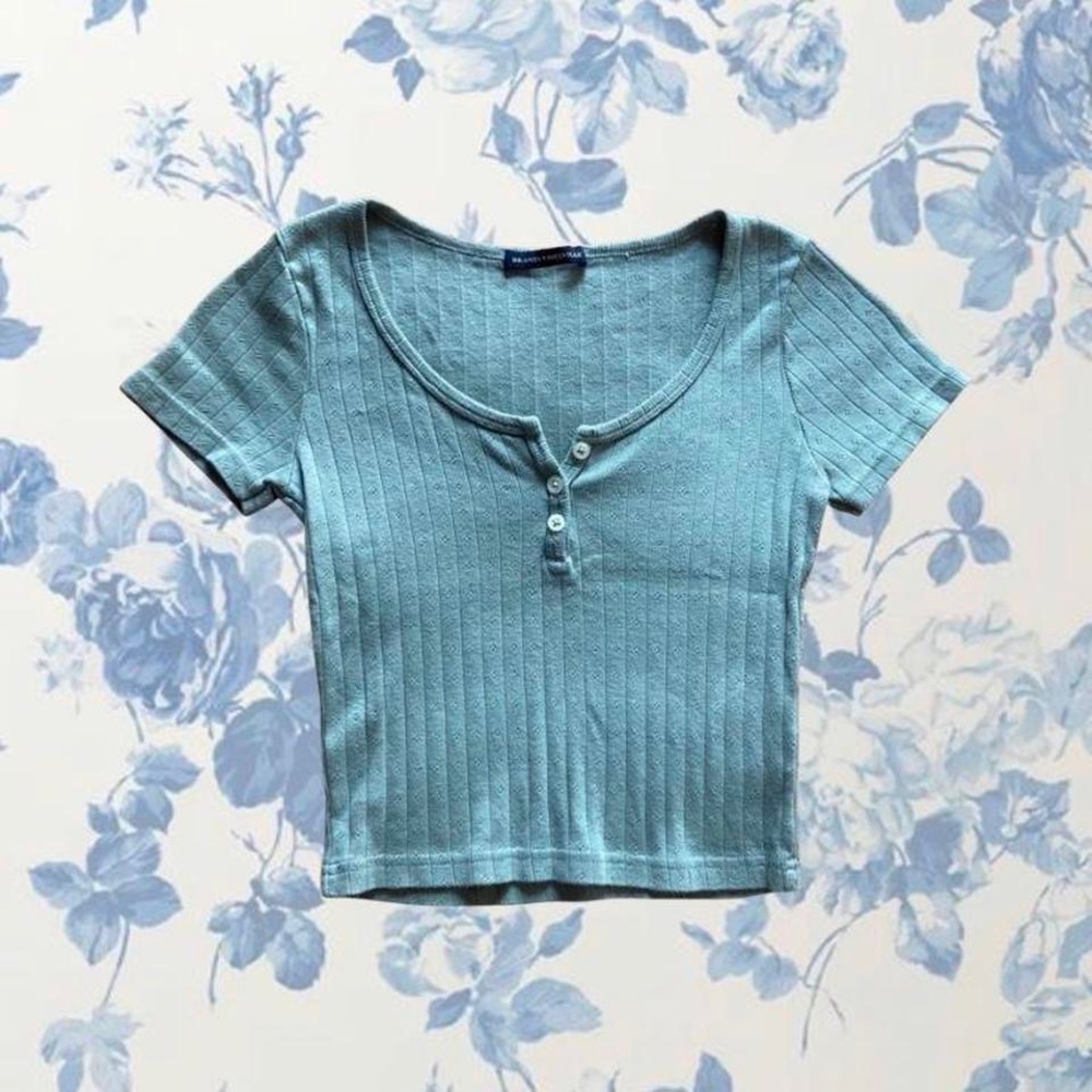 brandy melville sage crop top
